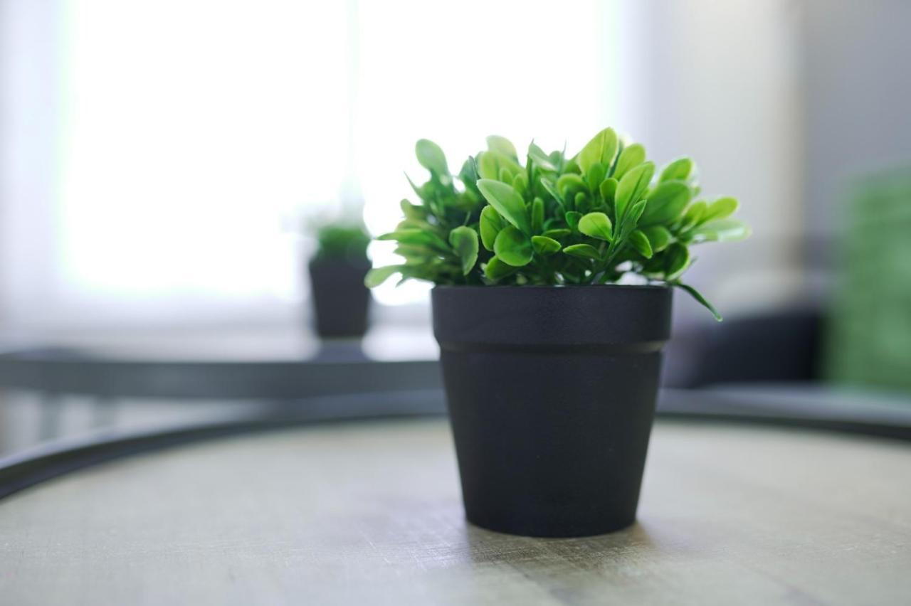 יחידת נופש עמית Apartment Eilat Bagian luar foto